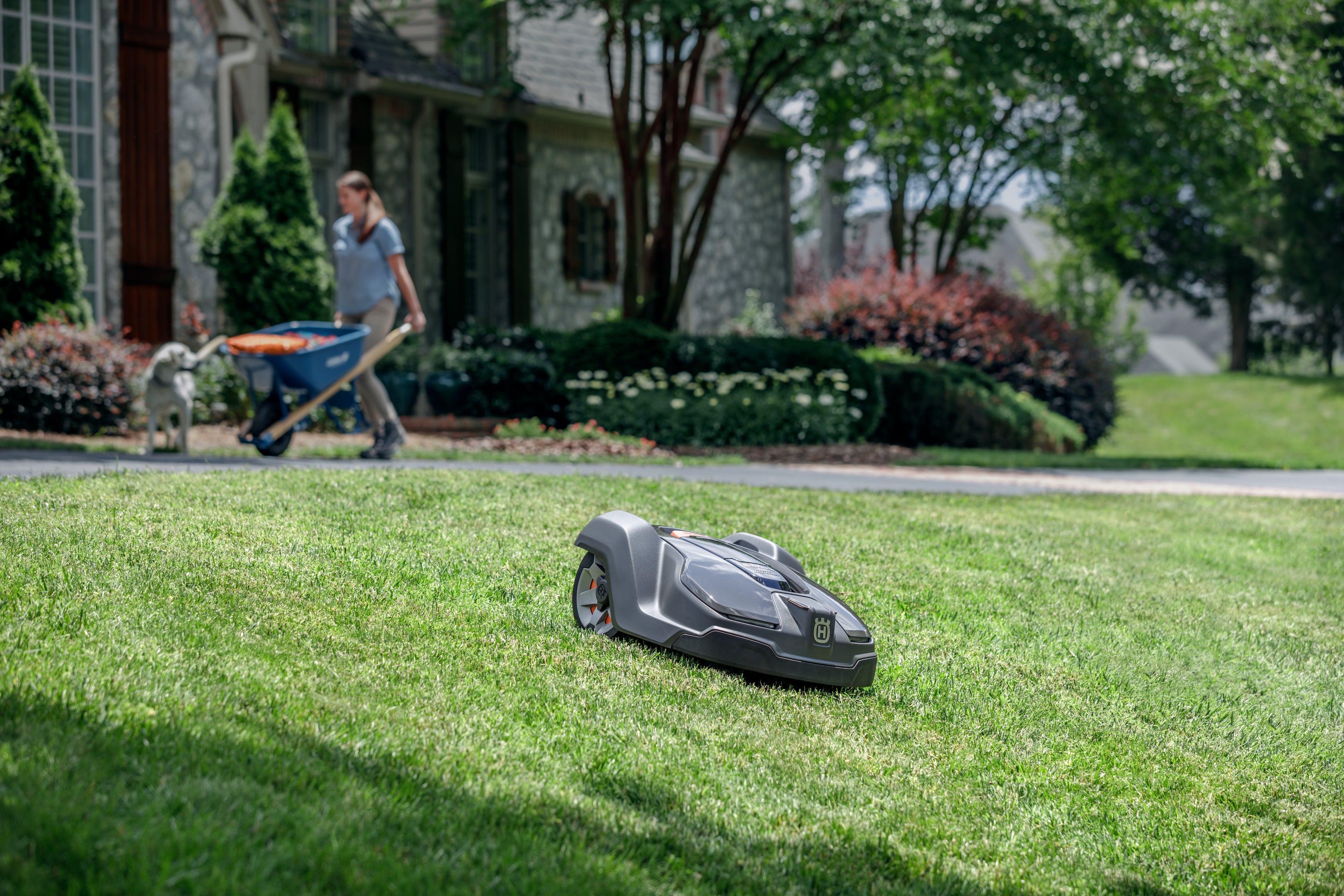 Automower® 430X (2024)